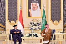 Aksi Perdamaian Palestina
