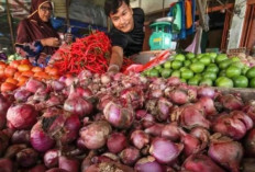 Harga Pangan 17 Februari 2025 : Bawang Merah Rp33.250/Kg, Cabai Rawit Rp54.250/Kg !