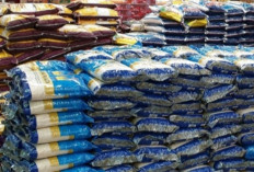 Polda Sumsel Kawal Ketat Distribusi Beras SPHP Sesuai HET 