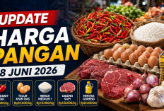 Update Harga Pangan 18 Juni 2026: Cabai Rawit Merah Tembus Rp65.000, Telur Ayam Ras Rp25.000 per Kilogram