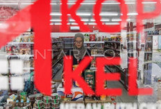 Pengamat Soroti Rekrutmen Manajer Kopdes Merah Putih, Skema Penempatan Dinilai Belum Jelas