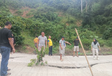 Hujan Lebat, Tanah di Desa Ulak Lebar OKU Mengalami Longsor