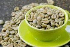 Tingkatkan Fungsi Otak dengan Kopi Hijau