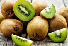 Manfaat Buah Kiwi untuk Kesehatan : Khasiat dan Keunggulan dari Buah  Hijau yang Sukseskan Diet !
