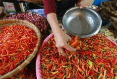 Harga Pangan 29 November 2024 : Cabai Rawit Merah Naik Rp2.590 Menjadi Rp40.490 per Kilogram !