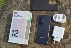 Gak Nyesel Beli OPPO Reno12 Pro 5G : Solusi Lengkap untuk Pengguna Aktif dan Produktif !