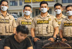 Curi 2 Ekor Murai Batu Seharga Jutaan dan Sepatu Branded,Seorang Residivis Diringkus Tim Tekab Polres Prabumuh
