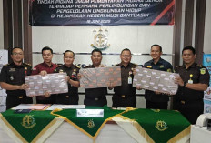 Kejari Muba Eksekusi Terpidana Lingkungan Hidup Muhammad Nur Alim Terkait Kasus PT Banyu Kahuripan Indonesia