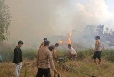 Karhutla Menyasar Lahan Warga Semi Gambut di Desa Kelampaian Ogan Ilir