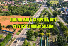 13 Kabupaten dengan Wilayah Paling Luas di Sumatera Selatan : Nomor 7 Sudah 2 Kali Dimekarkan ! 