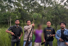 Miliki Dua Senpira, Warga Sekayu Diamankan saat di Pondok Kebun