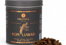 Kopi Luwak : Kopi Unik Indonesia yang Mendunia
