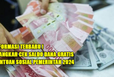 Informasi Terbaru : Begini Cara Cek Saldo DANA Gratis Bantuan dari Pemerintah 2024 !  