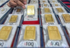 Update ! Harga Emas Antam 24 Oktober 2024 : Turun Rp6.000 Menjadi Rp1,515 Juta per Gram  