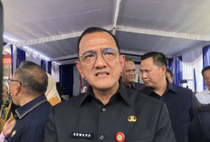 Pemprov Angkat 6.000 Tenaga Honorer