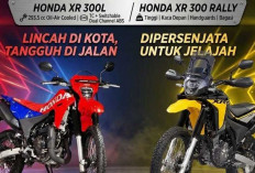 Debut Perdana Honda XR300L & XR300 Rally, Bawa DNA Dakar dengan Mesin 293,5cc dan Fitur Modern