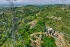 PLN Terus Perkuat Daya Saing di Kancah Dunia
