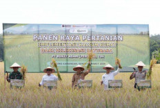 Dukung Pemanfaatan Kalium Humat, Tingkatkan Produktivitas Pertanian