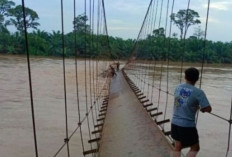 Banjir Melanda Muratara : 20.000 Rumah Terendam, Aktivitas Lumpuh