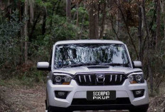 Rencana Pengadaan 35.000 Unit Mahindra Scorpio Pik Up Picu Polemik di Indonesia