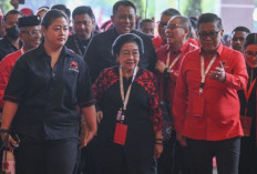 PDIP Dorong Profesionalisme TNI dan Polri