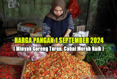 Harga Pangan 1 September 2024 : Minyak Goreng Turun, Cabai Rawit Merah Rp46.490 per Kilogram !