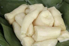 Tape Ubi Fermentasi Tradisional dengan Cita Rasa Khas dan Segudang Manfaat