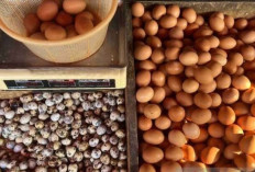 Harga Pangan 26 April 2025 : Cabai Rawit Merah Tembus Rp71.019 per Kilogram !