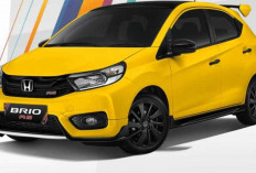 Honda Brio 2024 : Dominasi Pasar dengan Penjualan Fantastis!