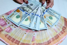 Update ! Kurs Rupiah 11 November 2024 : Menguat 14 Poin Menjadi Rp15.672 per dolar AS