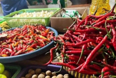 Harga Pangan 2 Juni 2025: Cabai Rawit Meroket Menjadi Rp55.837, Bawang Merah Rp37.333 per Kilogram !