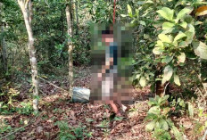 Pilu di Desa Paya Besar Ogan Ilir : Petani Ditemukan Meninggal Tragis di Kebun Karet, Begini Kata Polisi !