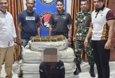 TNI Gagalkan Penyelundupan 75 Kilogram Ganja di Aceh Timur