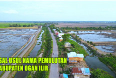 Asal Usul Nama Pemulutan di Ogan Ilir : Kisah Mistis Pawang Buaya dan Jejak Sejarah di Tepi Sungai Ogan !