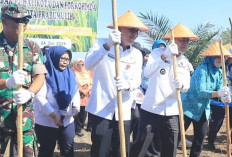 Pemkot Prabumulih Tanam Perdana Padi Gogo dengan Metoda Tumpang Sisip