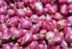Rahasia Dapur Lezat: Deretan Bumbu Wajib yang Bikin Masakan Makin Nikmat