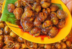 Kerang Bakar: Kuliner Laut yang Menggugah Selera di Indonesia