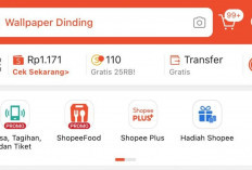 Panduan Praktis Transfer DANA Ke ShopeePay dan Sebaliknya di Tahun 2024