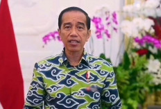 HLN ke-78, Presiden Jokowi Beri Ucapan Selamat ke PLN