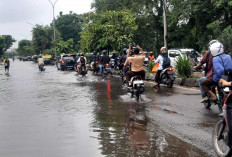 PR Walikota Baru : 42 Titik di Palembang Masih Rawan Banjir !