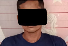 Kepergok Curi Sawit, Warga Lubai Ulu Muaraenim Ditangkap Polisi