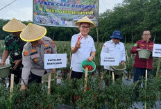 Penjabat Bupati Banyuasin Gencarkan Gerakan Tanam Sayur untuk Kendalikan Inflasi