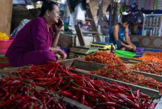 Harga Pangan 8 Agustus 2025:  Cabai Rawit Turun Jadi Rp49.768, Bawang Merah Rp48.660 per Kilogram !