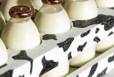 Susu Murni : Minuman Alami Kaya Nutrisi yang Tetap Jadi Favorit Sepanjang Masa