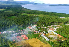 42 Usulan Provinsi Baru Mencuat, Indonesia Berpotensi Miliki 80 Provinsi, 3 Wilayah Paling Siap