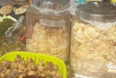 Hilirisasi Jamur Tiram Banyuasin Tingkatkan Ekonomi Desa