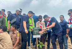 Hari Sumpah Pemuda, PTPN I Reg.2 Tanam Ribuan Pohon di Puncak