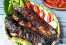 Nikmati Sensasi Lezat Ikan Lele Bakar, Kuliner Favorit yang Menggugah Selera