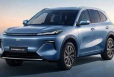 Tak Hanya Jakarta, Palembang Mulai Beralih ke Mobil Listrik Lewat DFSK Seres E1