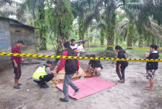 Petani di Bayung Lencir Kehilangan Nyawa Usai Dibacok ODGJ
